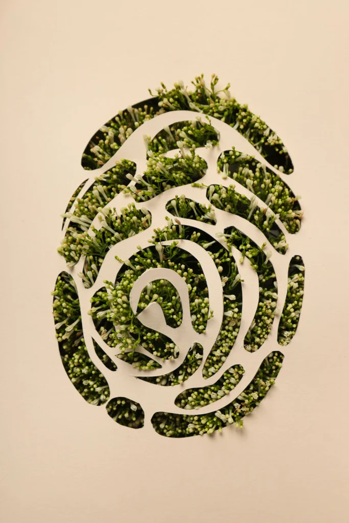 Leading Eco Friendly Practices, Reshaping Industry Commitment To Environmental Consciousness 4 sw eco friendly 1